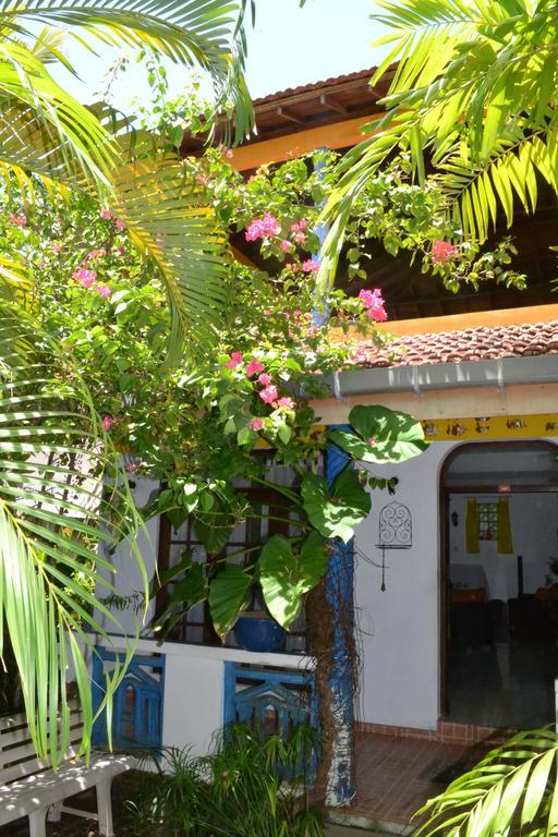 Bougain Villa Guesthouse Mirissa Ngoại thất bức ảnh